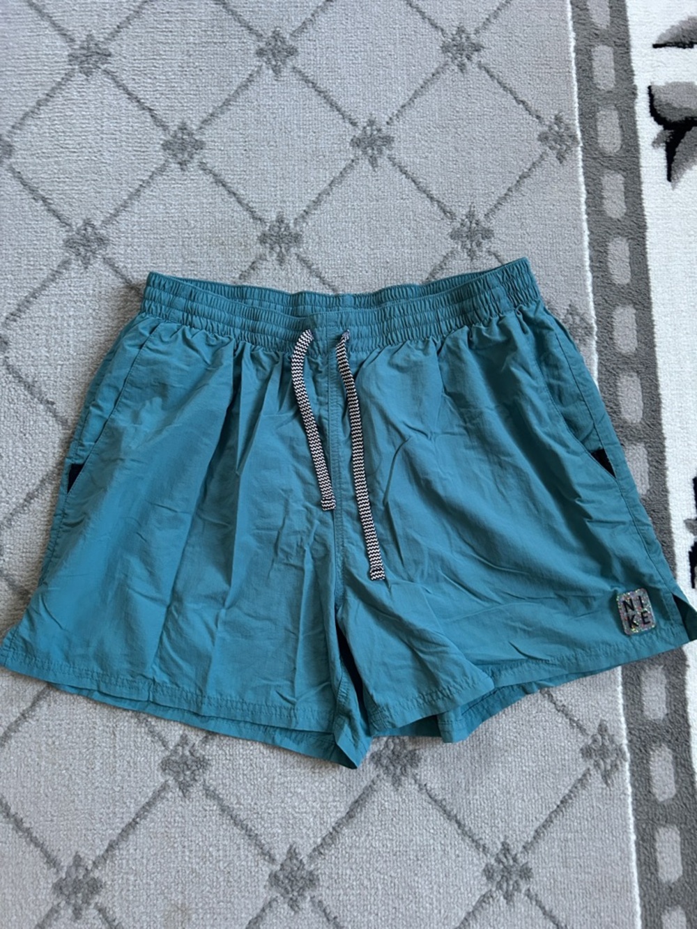 Nike Men's Teal Solid Icon Volley Shorts